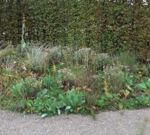 Garten Großbritanien