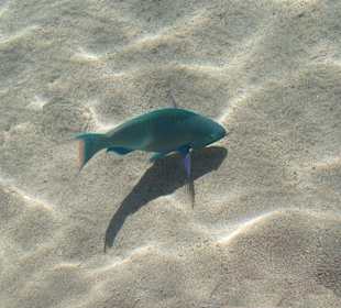 There's plenty more, just as colourful