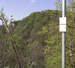 Ruine Maisenburg