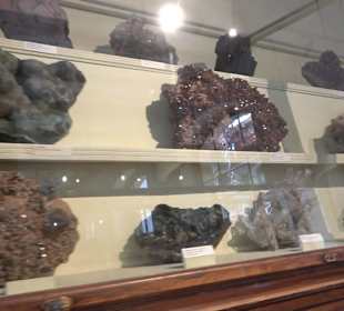 Museum für Naturkunde
