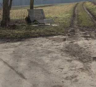 Rundwanderung durch den Rauhen Rammert Hemmendorf