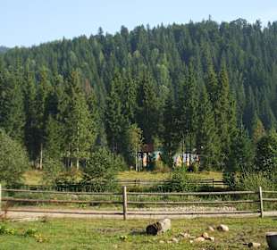 Parcul Natural Apuseni 