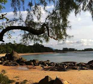 Strandabschnitt Khao Lak South Beach
