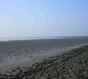 Ebbe