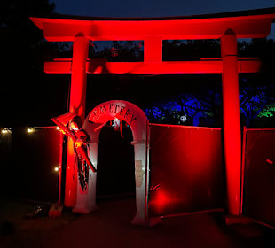 Mondo Verde Halloween