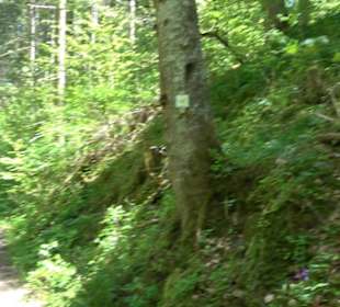 Magolsheimer Buchtalweg