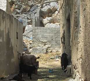 Al Tawrah
