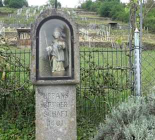 Naturinfopfad Weggental