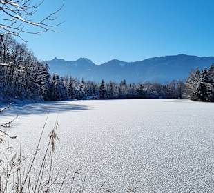 Wandern Murnau am Staffelsee