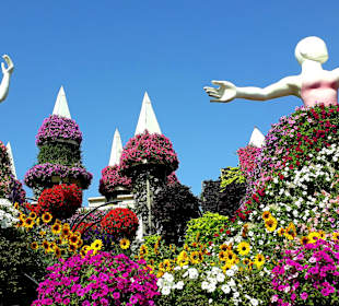 Miracle Garden