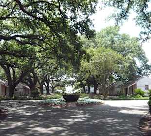 Sugar Kettle und Slave Quarters Oak Alley