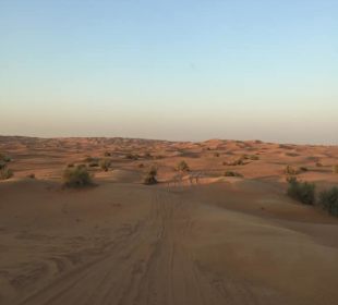 Der Weg ist das Ziel...