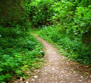 Wegweiser links nicht gehen