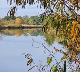 Untere Allerniederung 