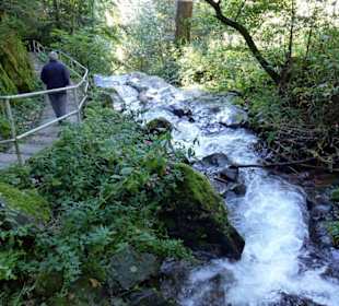 Todtnauer waterval