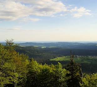 Wandern Mitterfirmiansreut 