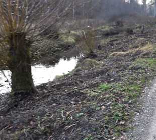 Schönbuch Schaichtal