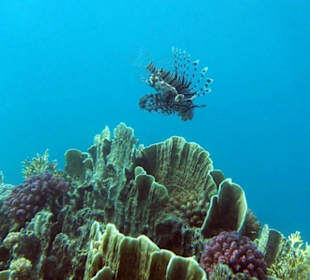 Am Nordriff Brayka Bay