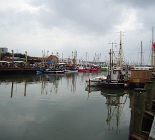 Regattatage 2009