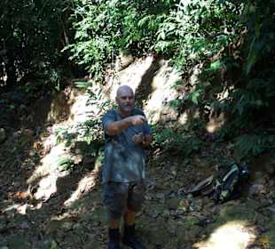 Peter in Aktion: Dschungel-Tour