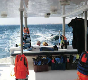 Delphintour rmit Mohamed