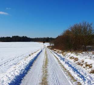 Die Aus- und Ansicht