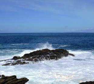 Fahrt entlang der Küste