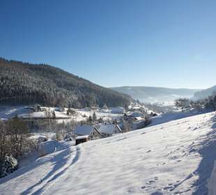 Wandern Bannwald Baiersbronn