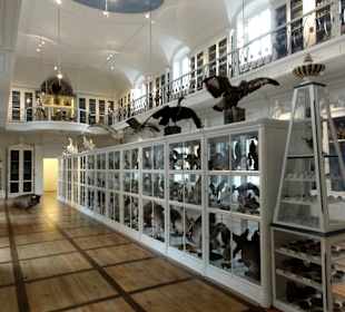 Naturkunde-Museum Bamberg