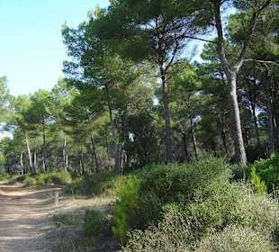 Wanderung auf dem "Camis de Cavalls"