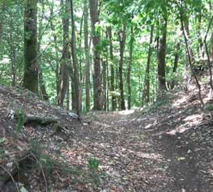 Unterer Greifenstein