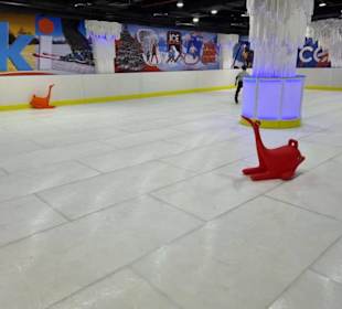 Kunststoff Bahn statt Eislaufbahn