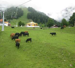 Untermarkter Alm