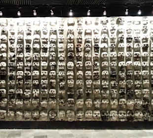 Schädelwand im Museum