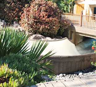  Mai Thai River ins Haifischbecken