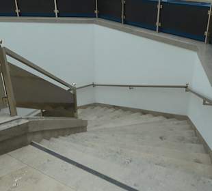 Staatliches Naturkunde Museum