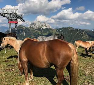 Wandern Hermagor - Pressegger See