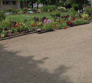 Skulptur Pfeiffer Aalen