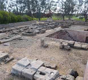 Ausgrabung in Pafos 