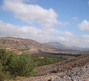 Oasispark - Kamelreiten