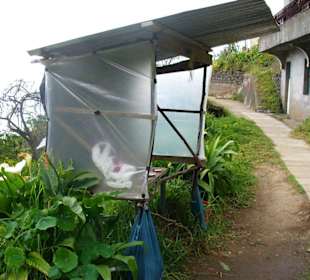 Schnellimbiss auf Madeira