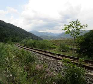 Valea Oltului / Olt-Tal 