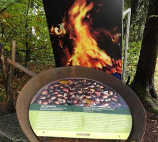 Kastanienerlebnisweg in Völlan