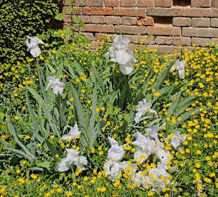 Stadtpark Glacis West