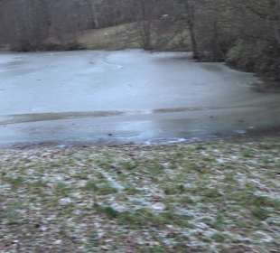 Wanderung rund um den Ochsenweiher