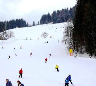 Scheffau/Skigebiet im Bild