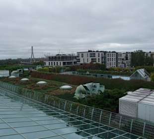 Ogród Biblioteki Uniwersytetu Warszawskiego