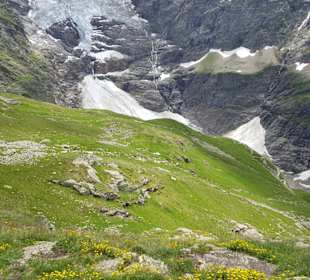 Abwechslung auf dem Weg