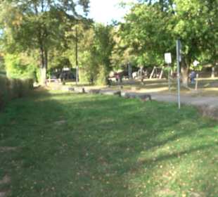 Spielplatz Nähe Aileswasensee