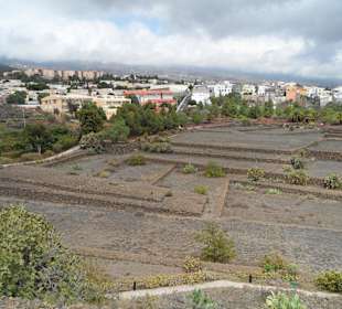 Die Pyramiden von Güimar